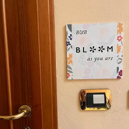 Bloom As Are בולוניה