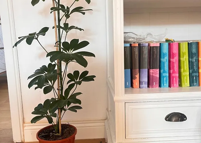 فندق مبيت وإفطار Bloom As Are بولونيا