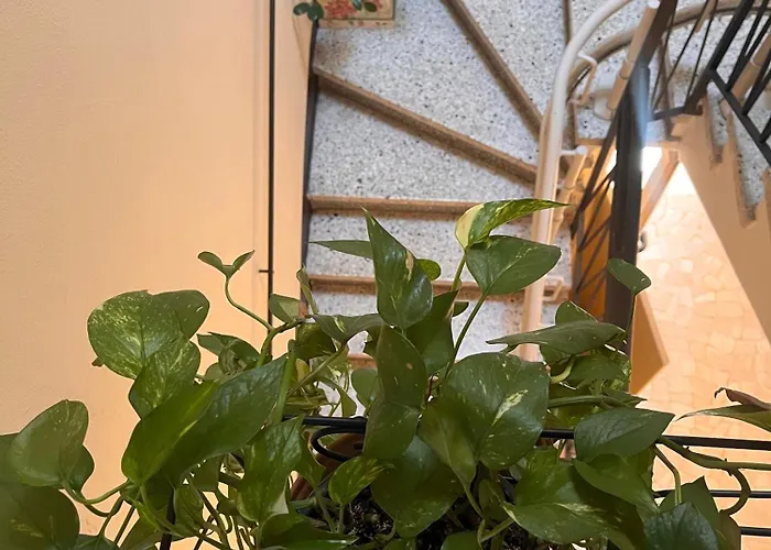 Bloom As Are 3* بولونيا