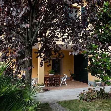 Bed and breakfast Bloom As Are 3*