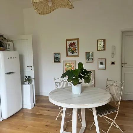 Bloom As Are Bolonha