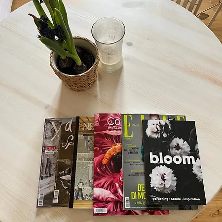 Bloom As Are Bologna