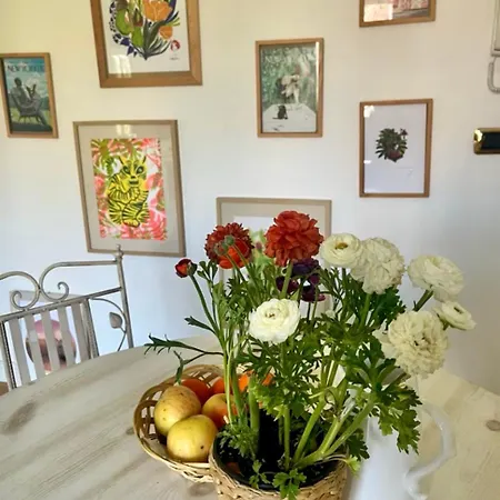 Bloom As Are 3* Μπολόνια