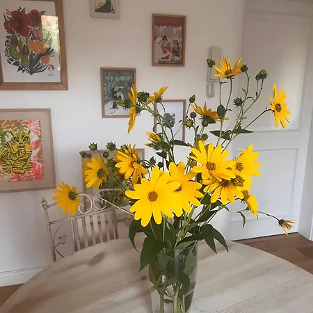 Bloom As Are Bed & Breakfast 3*