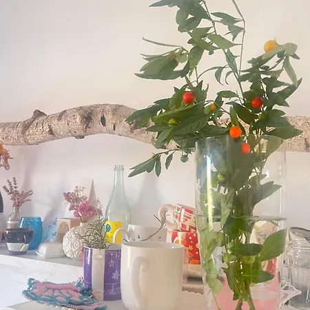 Bloom As Are Bed and Breakfast