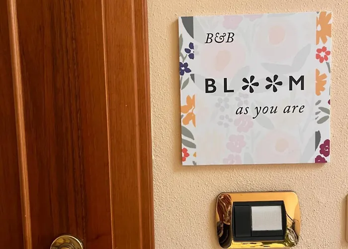 Bloom As Are 볼로냐