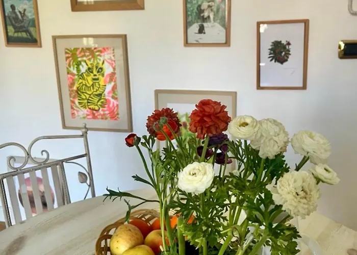 Bloom As Are 3* 볼로냐