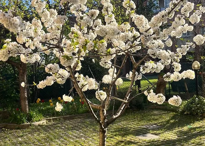 Bloom As Are 3* Bolonia